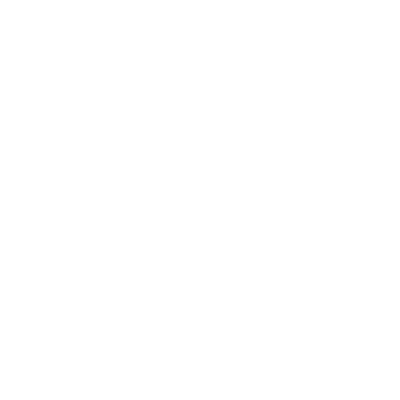 DFL NYC