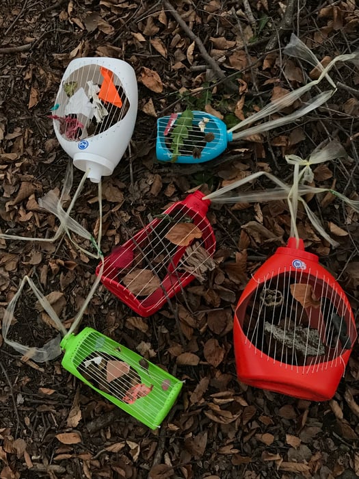 Welcome to futch plarning 