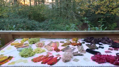 Slideshow image 1