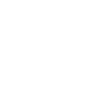 Liz Carrera Arts Home