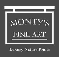 Monty's Fine Art