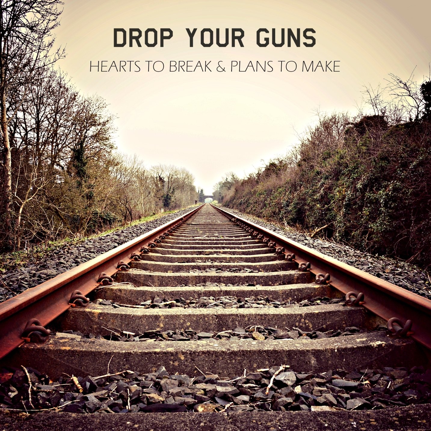 Drop Your Guns