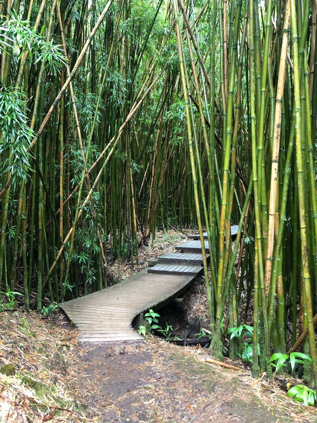 Slideshow image 5