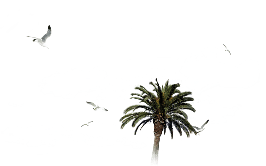 Promo image
