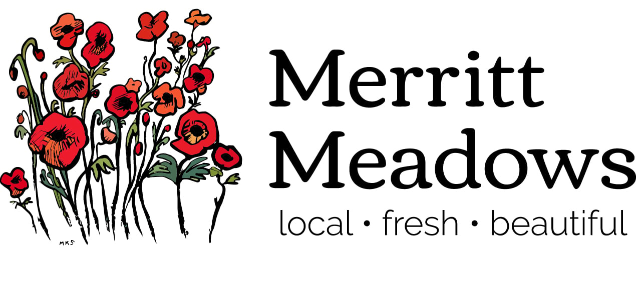 Merritt Meadows Flower Farm LLC Home