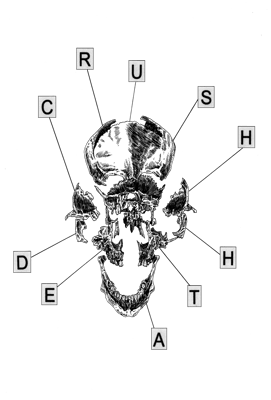 Crush Death Home