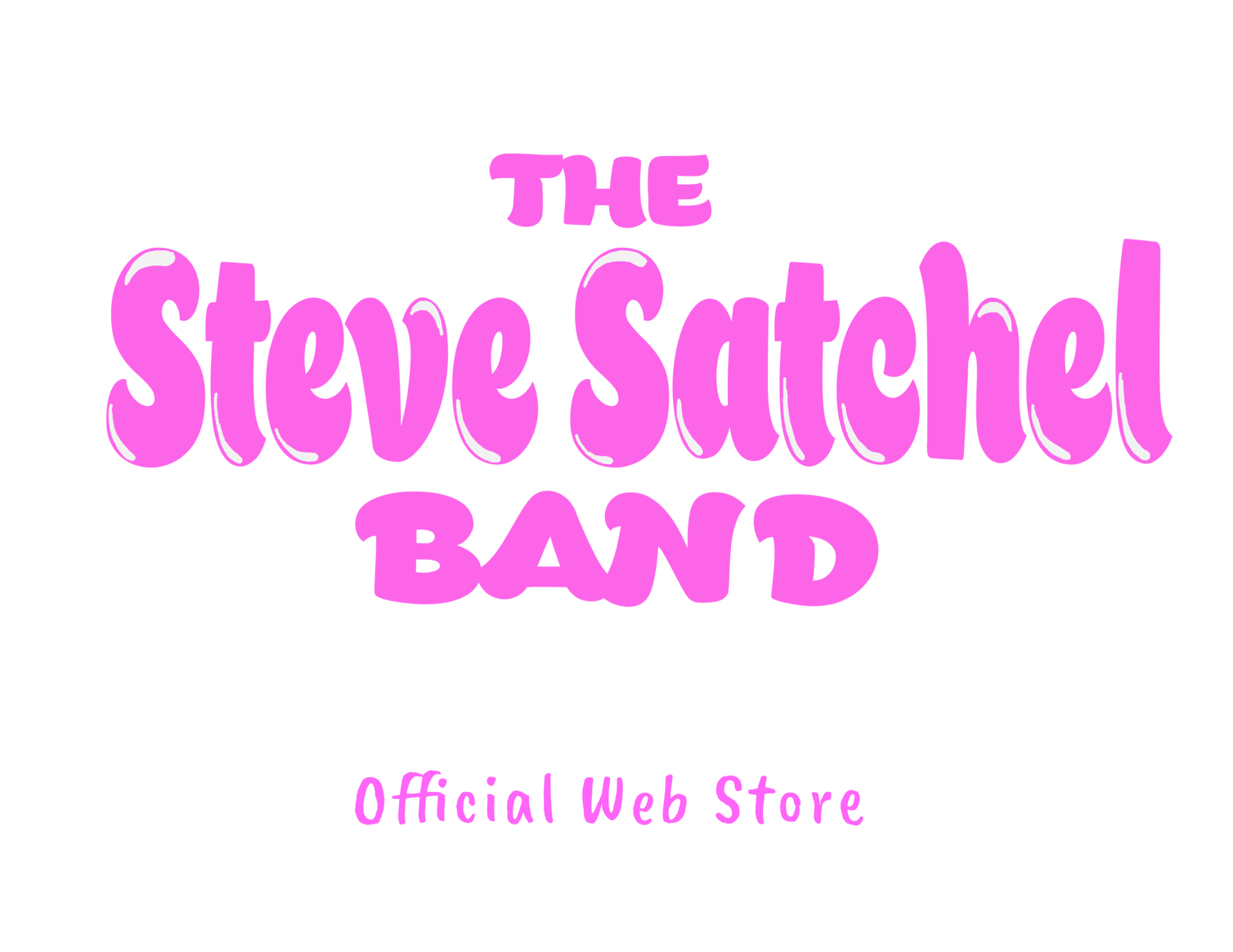 The Steve Satchel Band