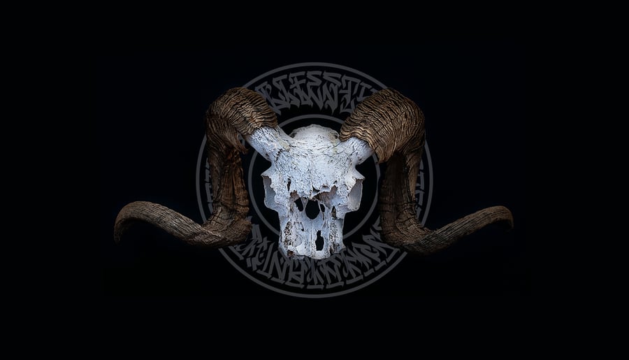Welcome image