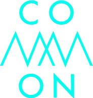 coMMon boards