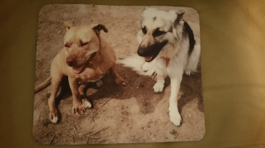 Slideshow image 4
