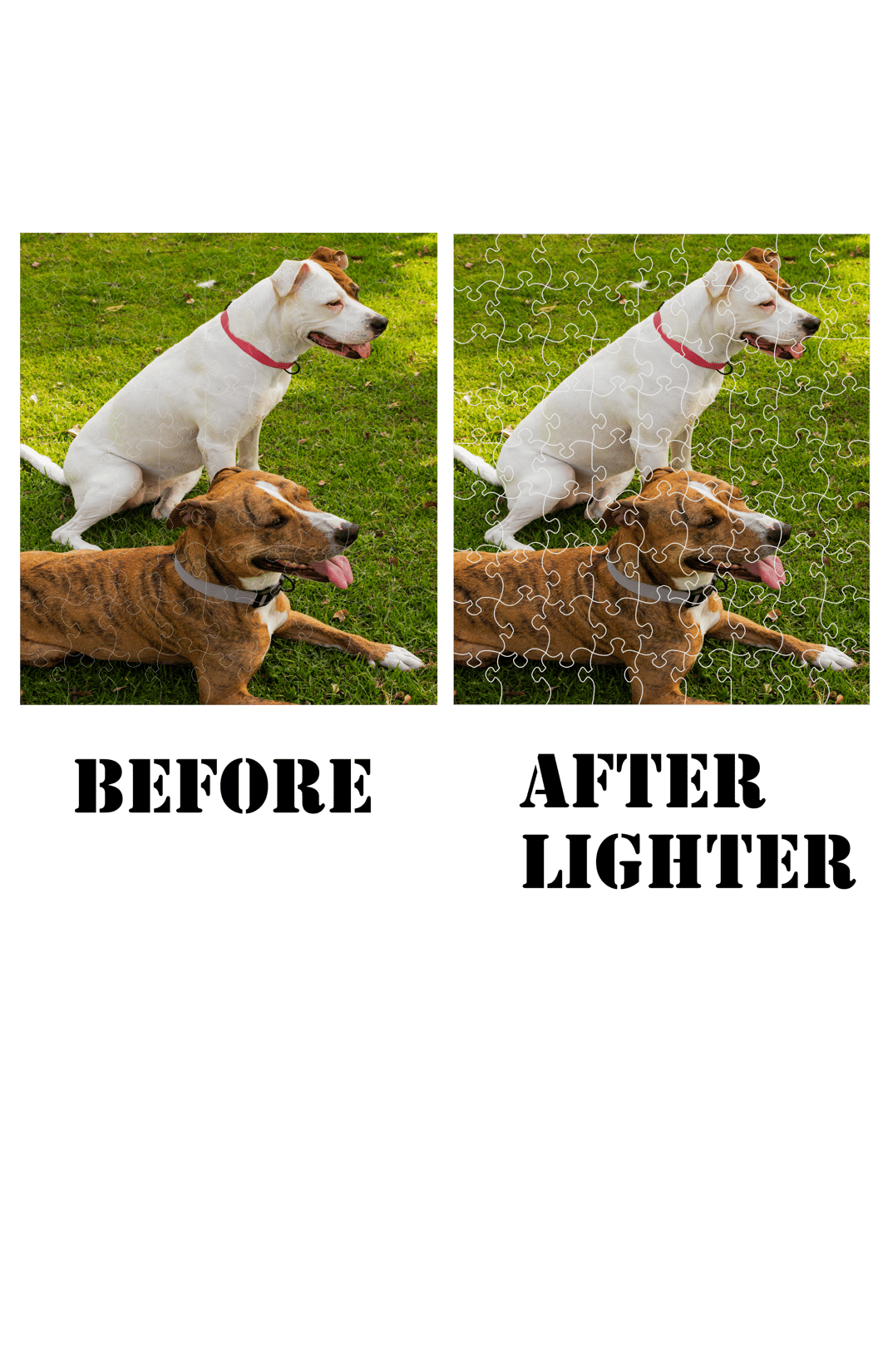 Slideshow image 6