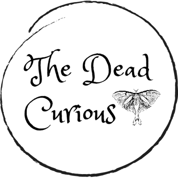 The Dead Curious Home