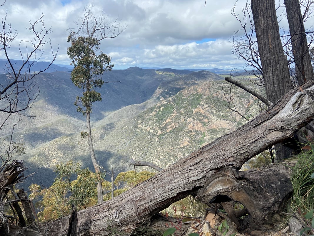 Slideshow image 3