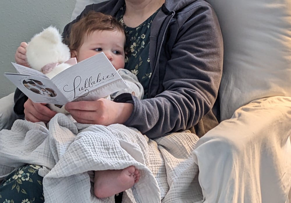 Welcome to Troyer Lullabies