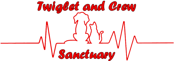 Twiglet and Crew Sanctuary Home