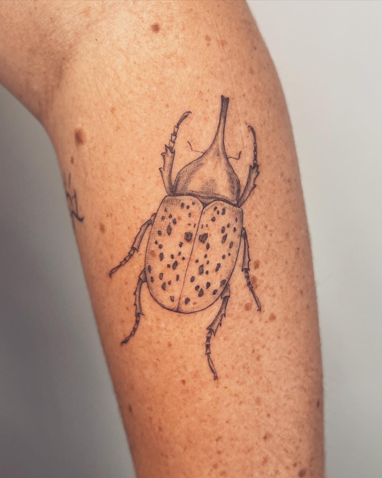 Hercules Beetle done by Daria (@luminus.ink), Asgard, Southampton, UK. –  Tattoo Lover Family