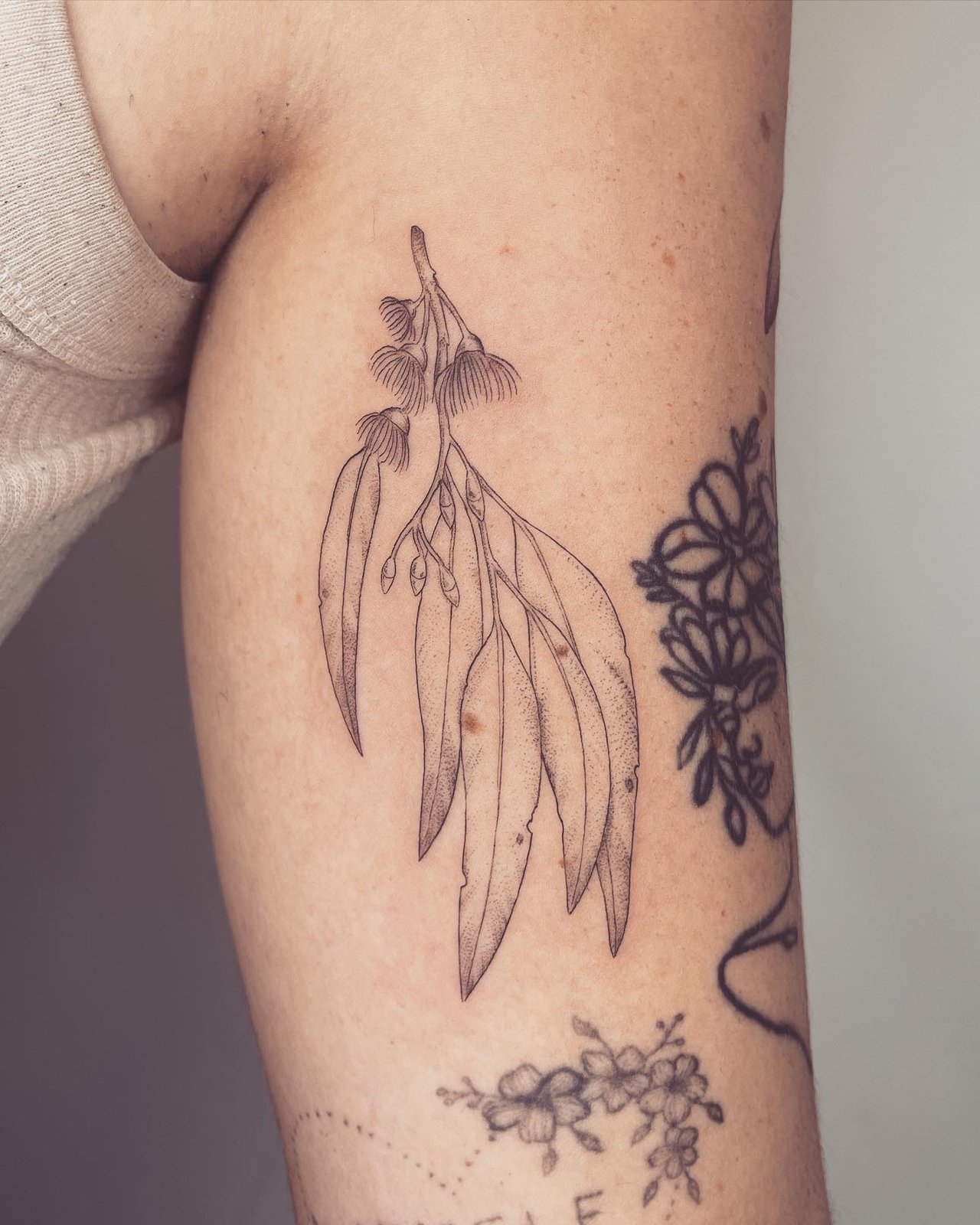 Faye Oliver on Instagram: “✽ Eucalyptus, lavender + Fern✽ @evergreentattoos  ⠀⠀⠀⠀⠀⠀⠀⠀⠀⠀⠀⠀⠀⠀⠀⠀⠀⠀⠀⠀⠀⠀⠀⠀ ⠀⠀⠀⠀⠀⠀⠀⠀⠀⠀⠀⠀⠀⠀⠀⠀⠀… | Fern tattoo, Lavender tattoo,  Olive tattoo