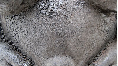 Slideshow image 1